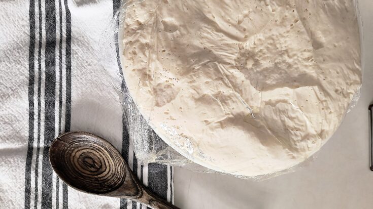 Easy Bread Machine Pizza Dough from Scratch
